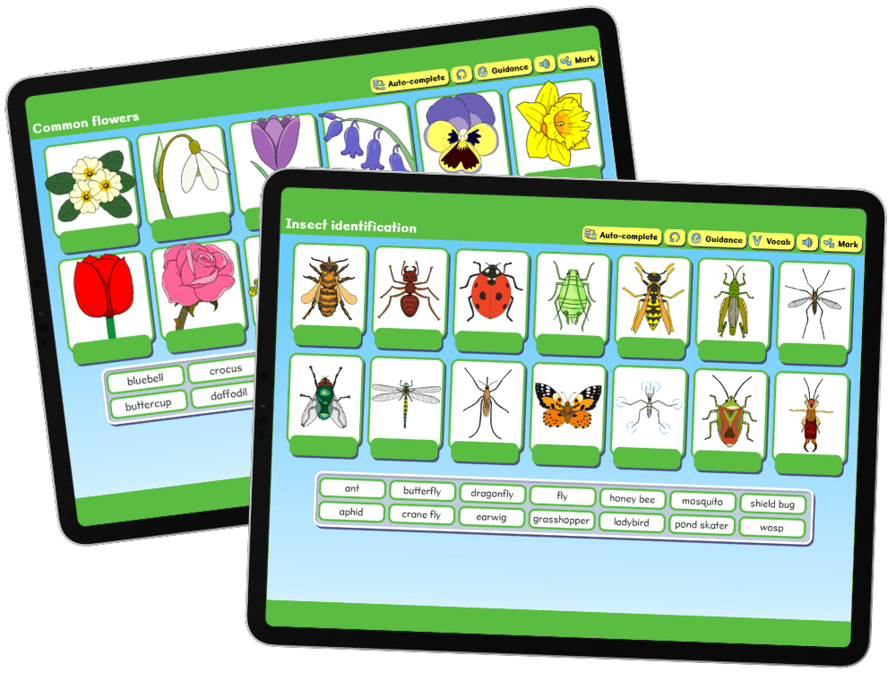 Busy Things interactive worksheets for learning about nature for kids