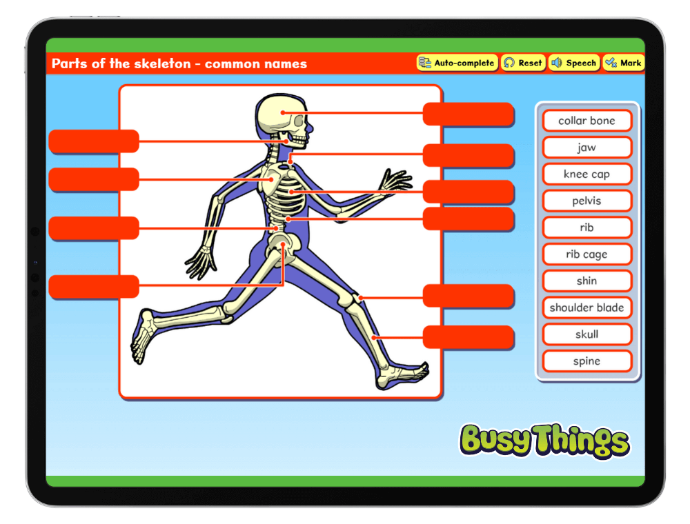 Busy Things interactive worksheet example for instant feedback