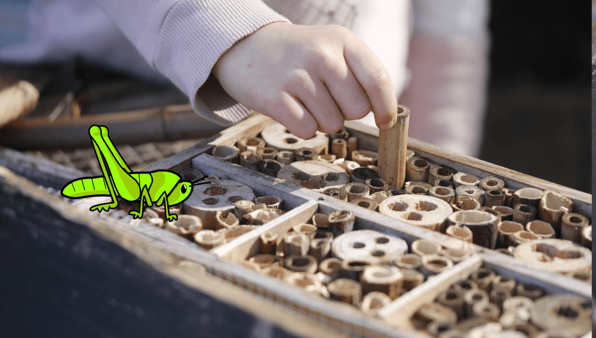 Spring activity idea: Children building a bug hotel 