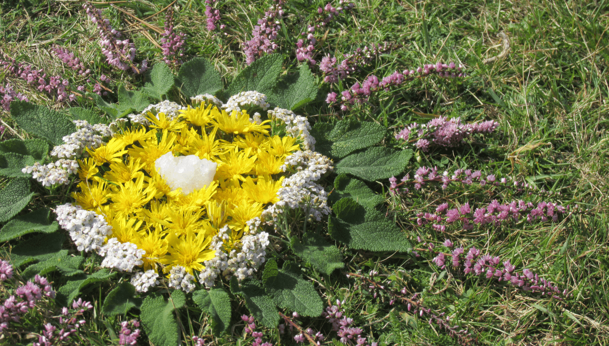 Spring learning activities: Make a spring mandala