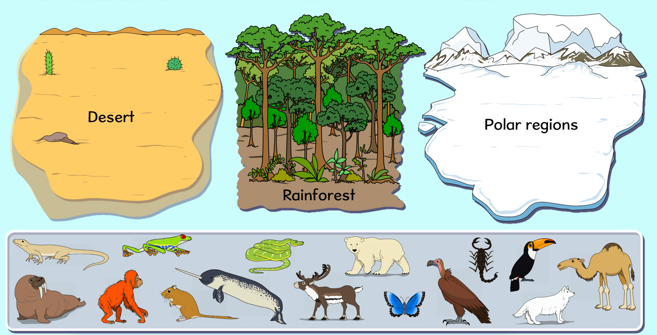 Global habitats activity