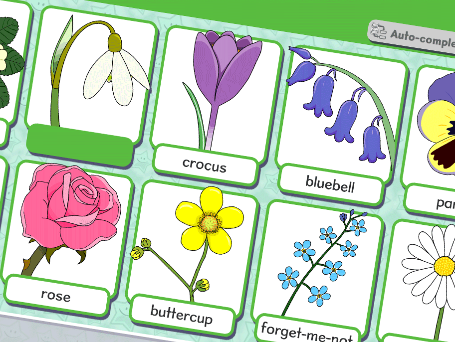 Common flowers activity