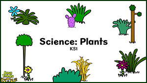 KS1 Science: Plants PowerPoint